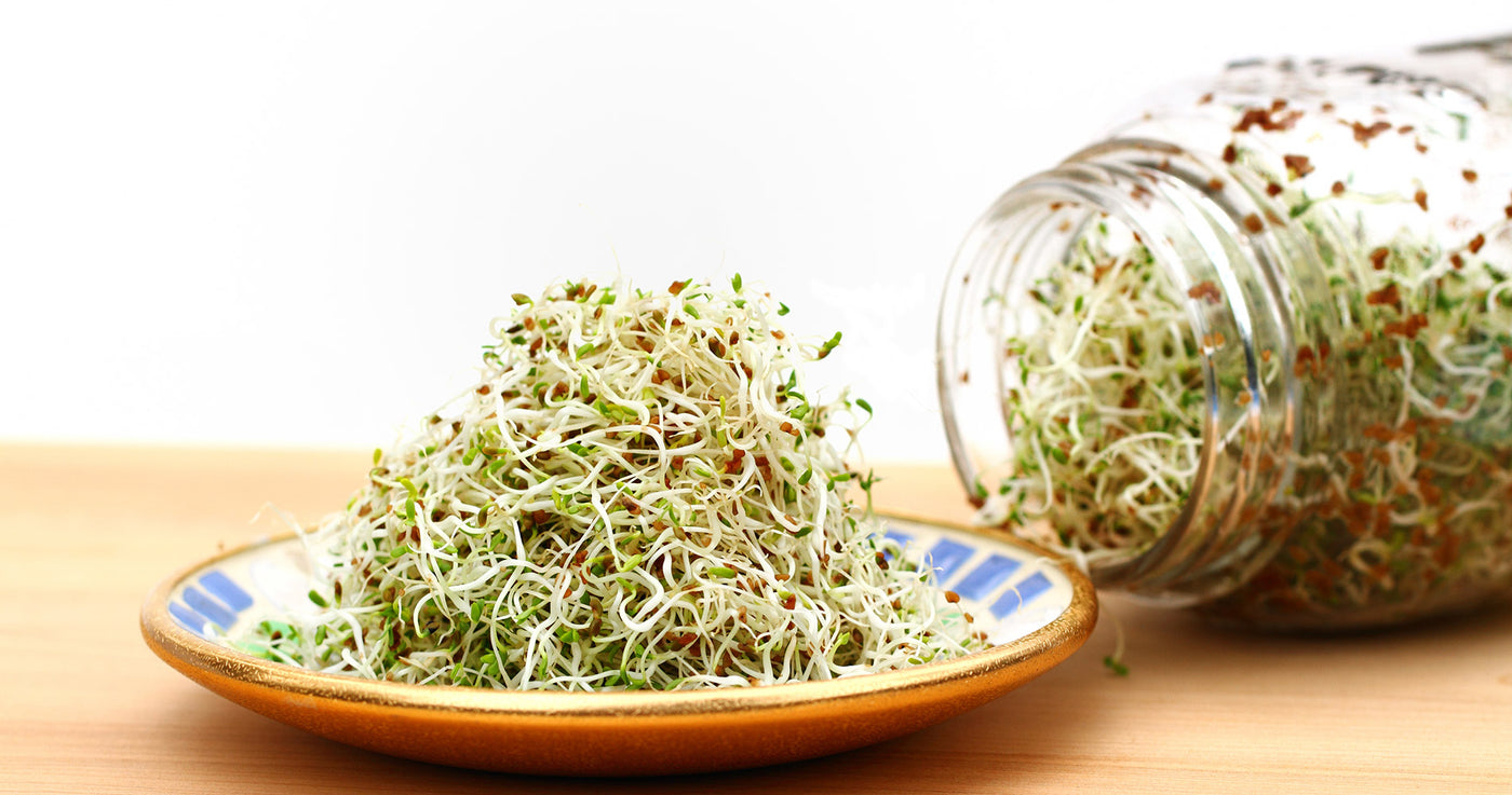 Sprossen & Entsafter