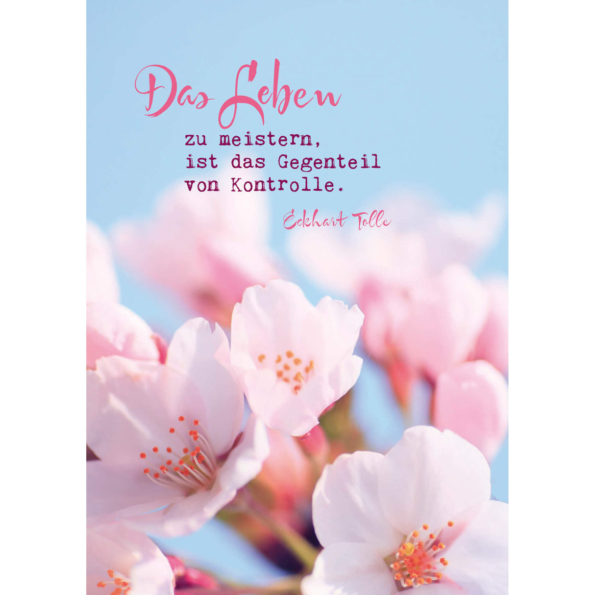 Eckhart Tolle Postkarten