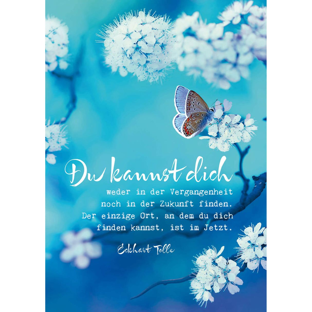 Eckhart Tolle Postkarten