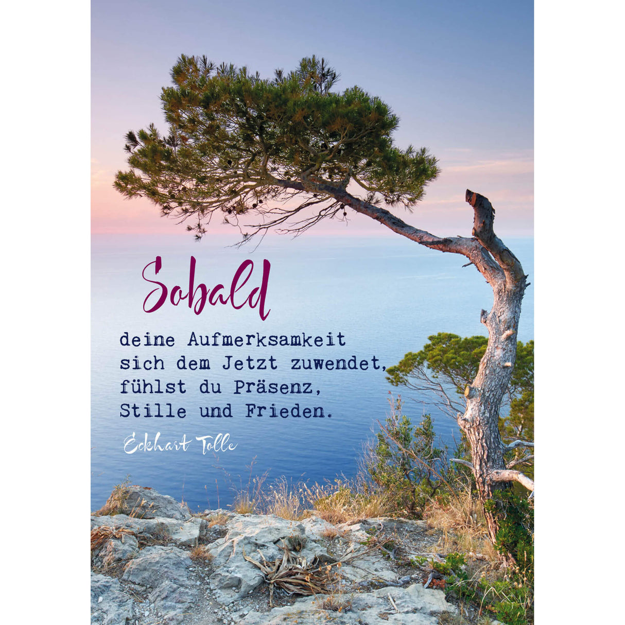 Eckhart Tolle Postkarten