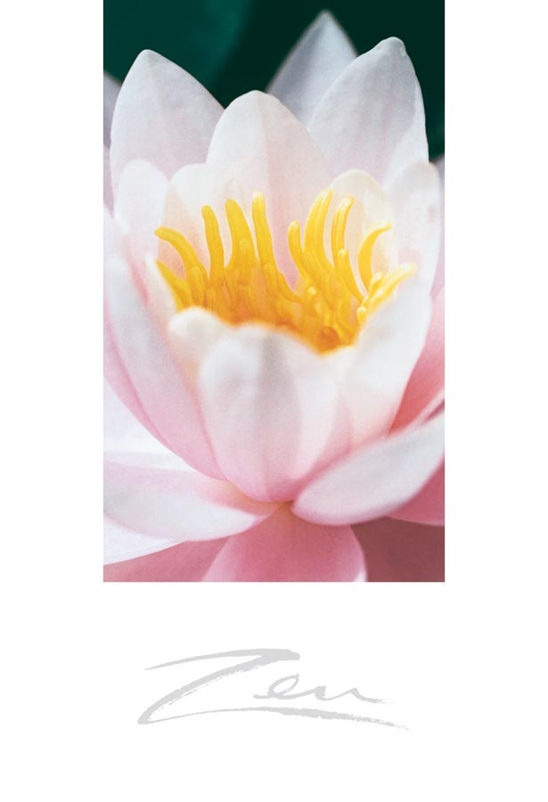 Zen-Briefkarten