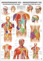 Triggerpunkte Kopf und Rumpf (Poster 24cm x 34cm) - YOGISHOP