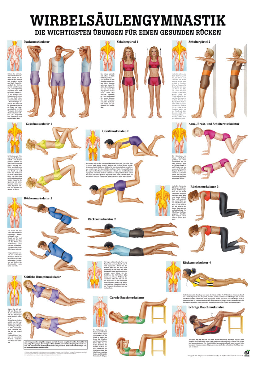 Wirbelsäulengymnastik - YOGISHOP
