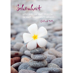 Eckhart Tolle Postkarten
