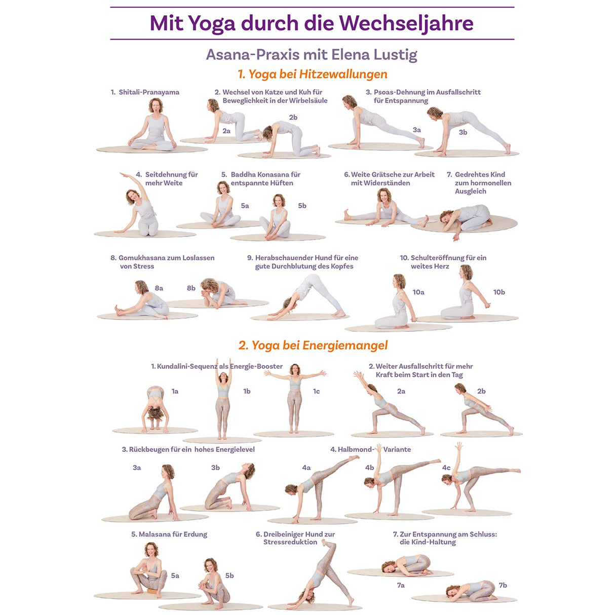 Mit Yoga durch die Wechseljahre Poster A4 - AYURDEVA