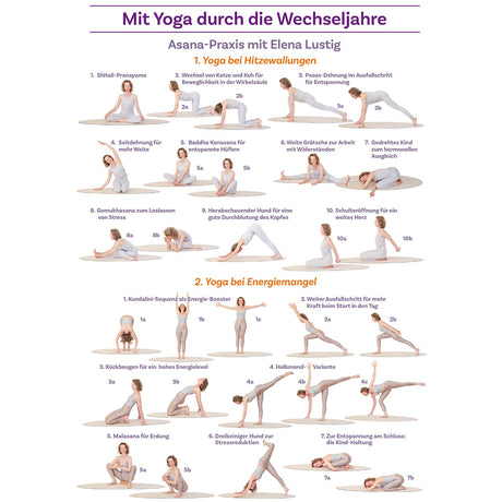 Mit Yoga durch die Wechseljahre Poster A4 - YOGISHOP