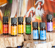 Ayurvedisches Chakraöl-Set, 7 x 10 ml - YOGISHOP