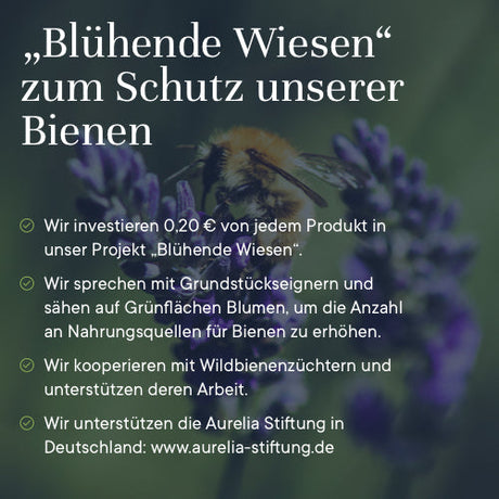 Bio Zahnpulver - Ingwer, 45 g - YOGISHOP