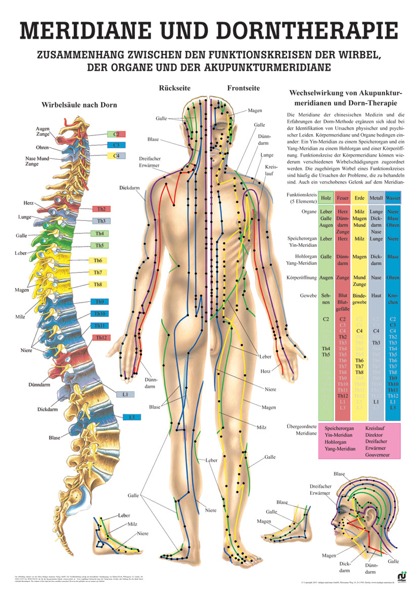 Meridiane und Dorntherapie