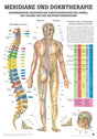 Meridiane und Dorntherapie