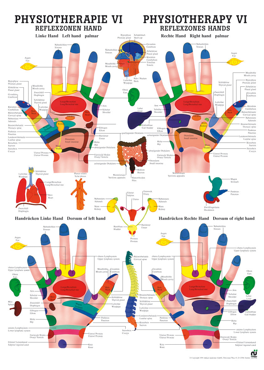 Reflexzonen Hand