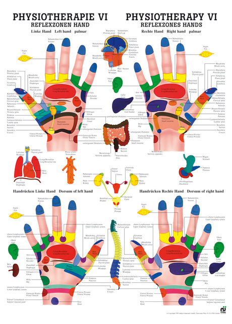 Reflexzonen Hand