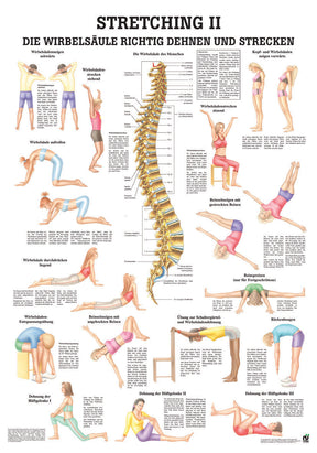 Stretching 2 - YOGISHOP