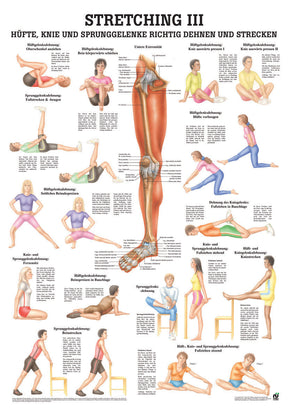 Stretching 3