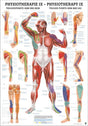 Triggerpunkte Arm und Bein (Poster 24cm x 34cm) - YOGISHOP