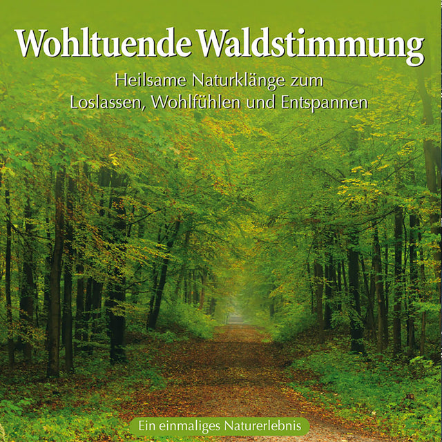 Wohltuende Waldstimmung von Kings of Nature (CD) - YOGISHOP