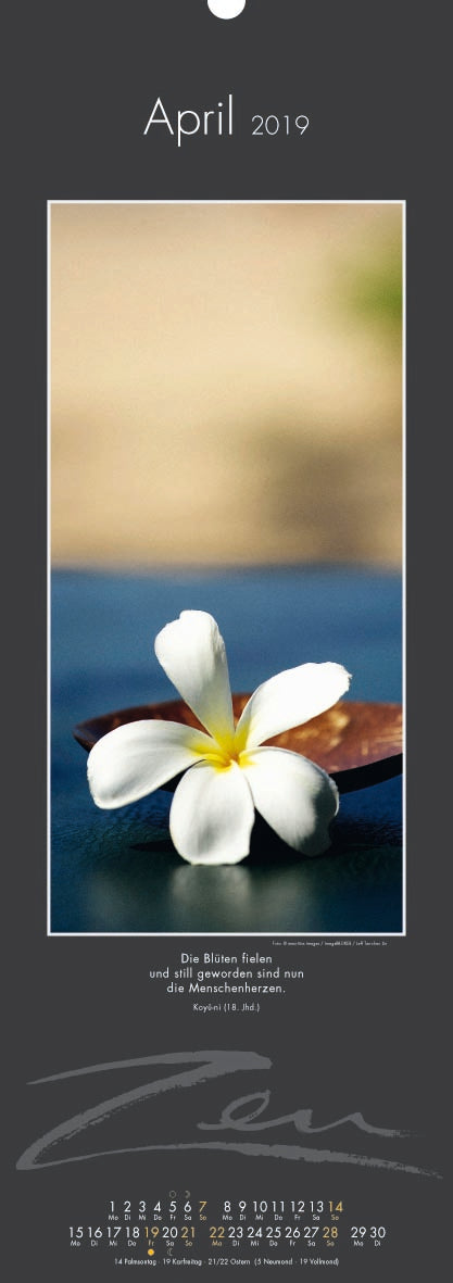 Zen Kalender 2019 - YOGISHOP